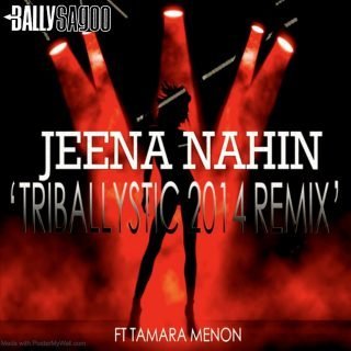 Jeena Nahin Triballystic - 2014 Remix (Single MP3)